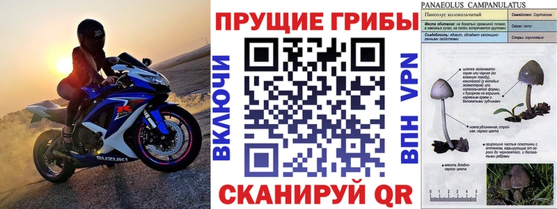 купить наркотик  kraken зеркало  Псилоцибиновые грибы мухоморы  Харовск 