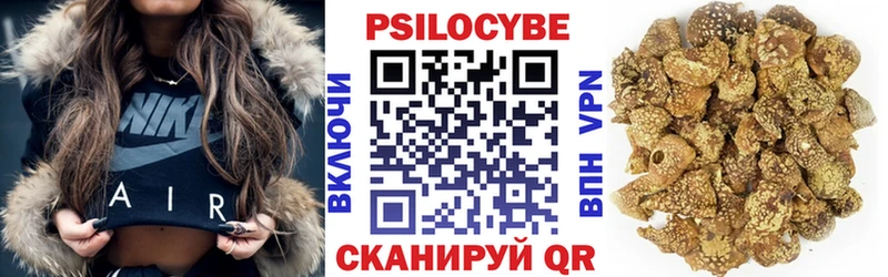 Псилоцибиновые грибы Psilocybe Харовск